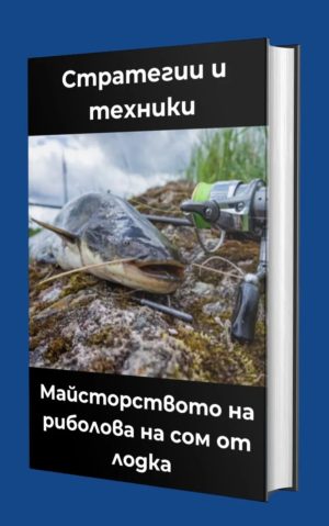 Стратегии и техники за риболов на сом от лодка