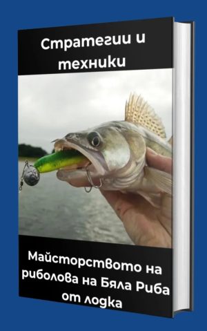 Стратегии и техники за риболов на Бяла Риба